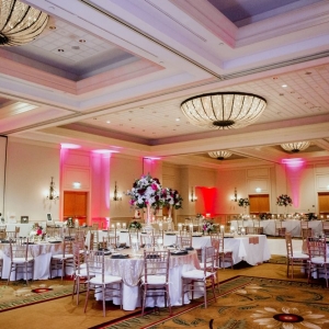 San Antonio Wolf Weddings & Events