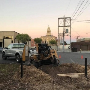 Photo of Neidhart's Stump Removal