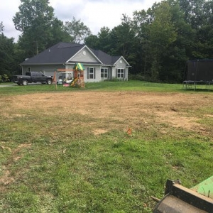 Photo of Neidhart's Stump Removal