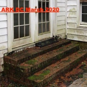 Photo of The Ark