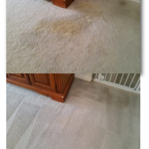O'Fallon Total Carpet Cleaning