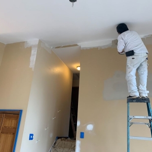 Photo of Carolina Painting Solutions