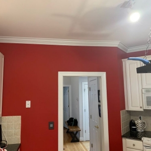 Photo of Carolina Painting Solutions