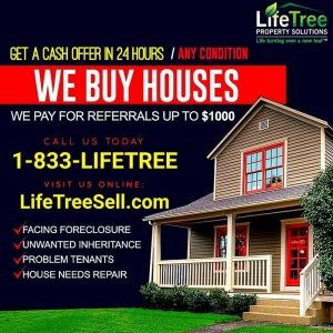 Photo of LifeTree Property Solutions