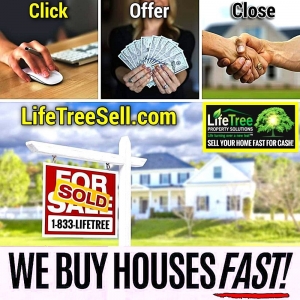 Photo of LifeTree Property Solutions