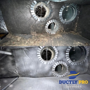Photo of Ductly Pro Services