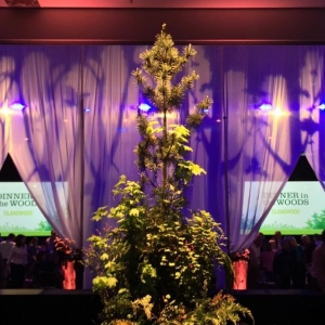 Photo of Hollywood Lights, Inc.