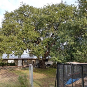 Photo of Boerjan'S Landscaping & Design