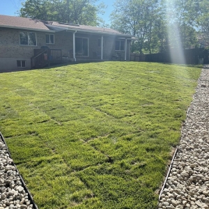 Photo of Tim's Sprinkler