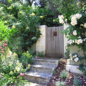 Photo of Daedalus Design Group