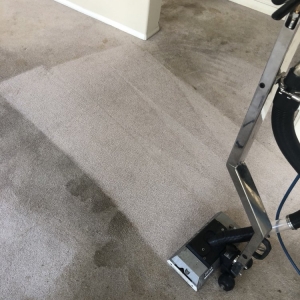 Photo of Quikdry Carpet & Tile Cleaning