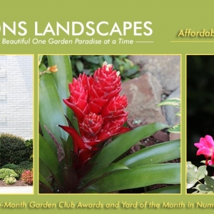 Photo of Expressions Landscapes