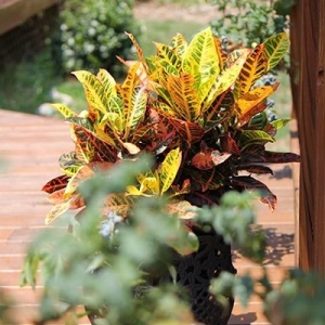 Photo of Expressions Landscapes