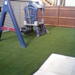 Photo of Chicago Dream Grass