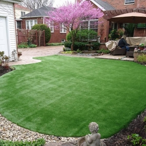 Photo of Chicago Dream Grass