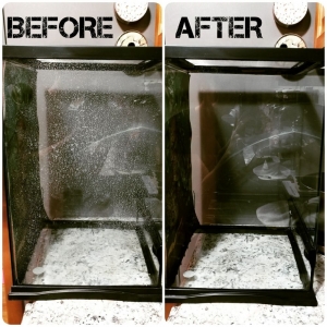 Photo of Ortiz Window Cleaning