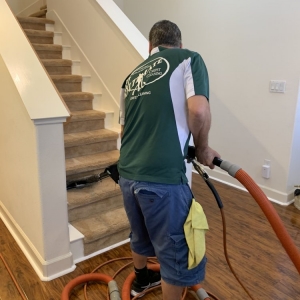 Photo of Ultimate Carpet Cleaners