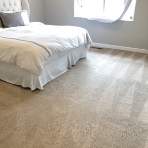 Photo of Ultimate Carpet Cleaners