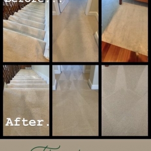 Photo of Ultimate Carpet Cleaners