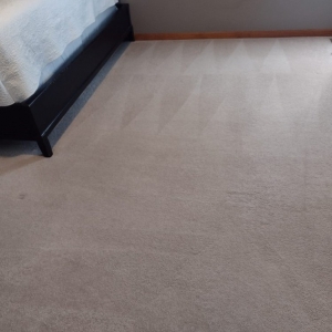 Photo of Chuga's Carpet Cleaning