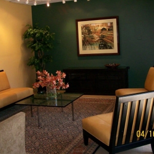 Chicago Jaqi Green Interiors