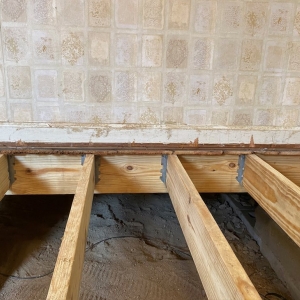 Memphis Memphis Crawl Space and Basement