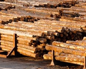 Photo of TJ Moore Lumber Yard