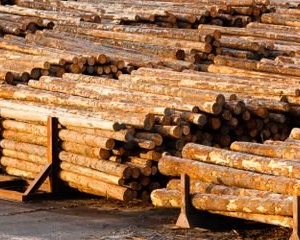 Photo of TJ Moore Lumber Yard