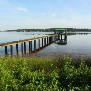 Photo of Piling Magic