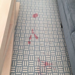 Photo of Heaven's Best Carpet Cleaning