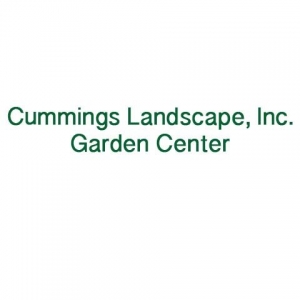 Photo of Cummings' Landscape