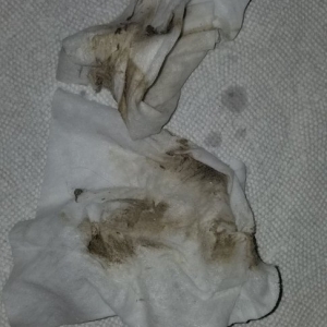 Photo of Maids In San Diego