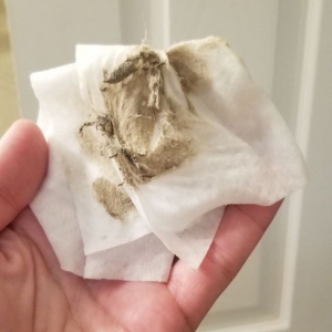 Photo of Maids In San Diego