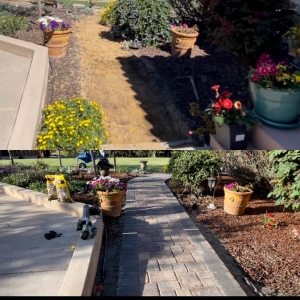 Photo of Perfect Landscaping