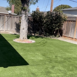 Photo of Perfect Landscaping