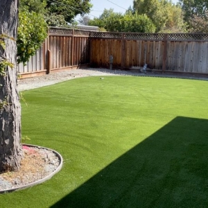 Photo of Perfect Landscaping