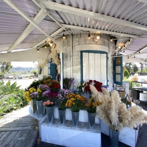Photo of Little House of Flowers
