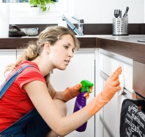 Photo of Fort Lauderdale Maid Service