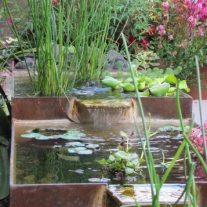 Photo of Christiane Holmquist Landscape Design