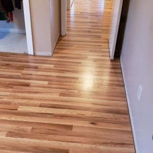 Photo of Precise Remodeling