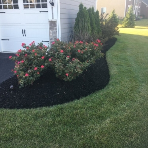 Photo of Home Field Advantage Lawncare