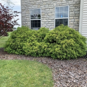 Photo of Home Field Advantage Lawncare