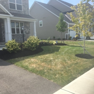 Photo of Home Field Advantage Lawncare