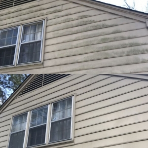 Photo of Window Gang
