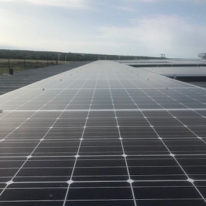 Photo of Will Power Solar