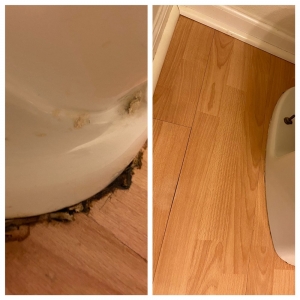Photo of Oceanshore Cleaning Services