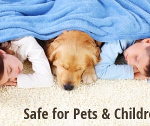 Photo of Heaven's Best Carpet Cleaning