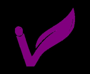 Dallas Purple Olive Labs
