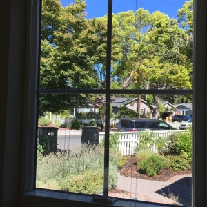 Photo of Golden Bay Glass
