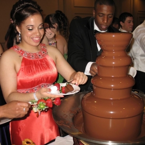 Photo of The Chocolate Fountain From In Blossom